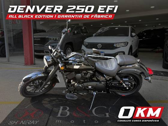SHINERAY DENVER 250 SHINERAY DENVER 250